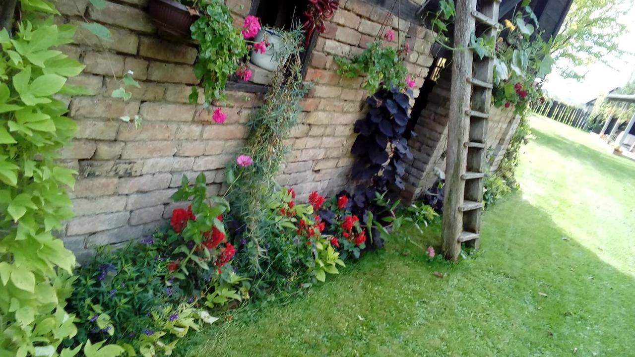 Snasini Kucari Bed & Breakfast Gradiste Екстериор снимка