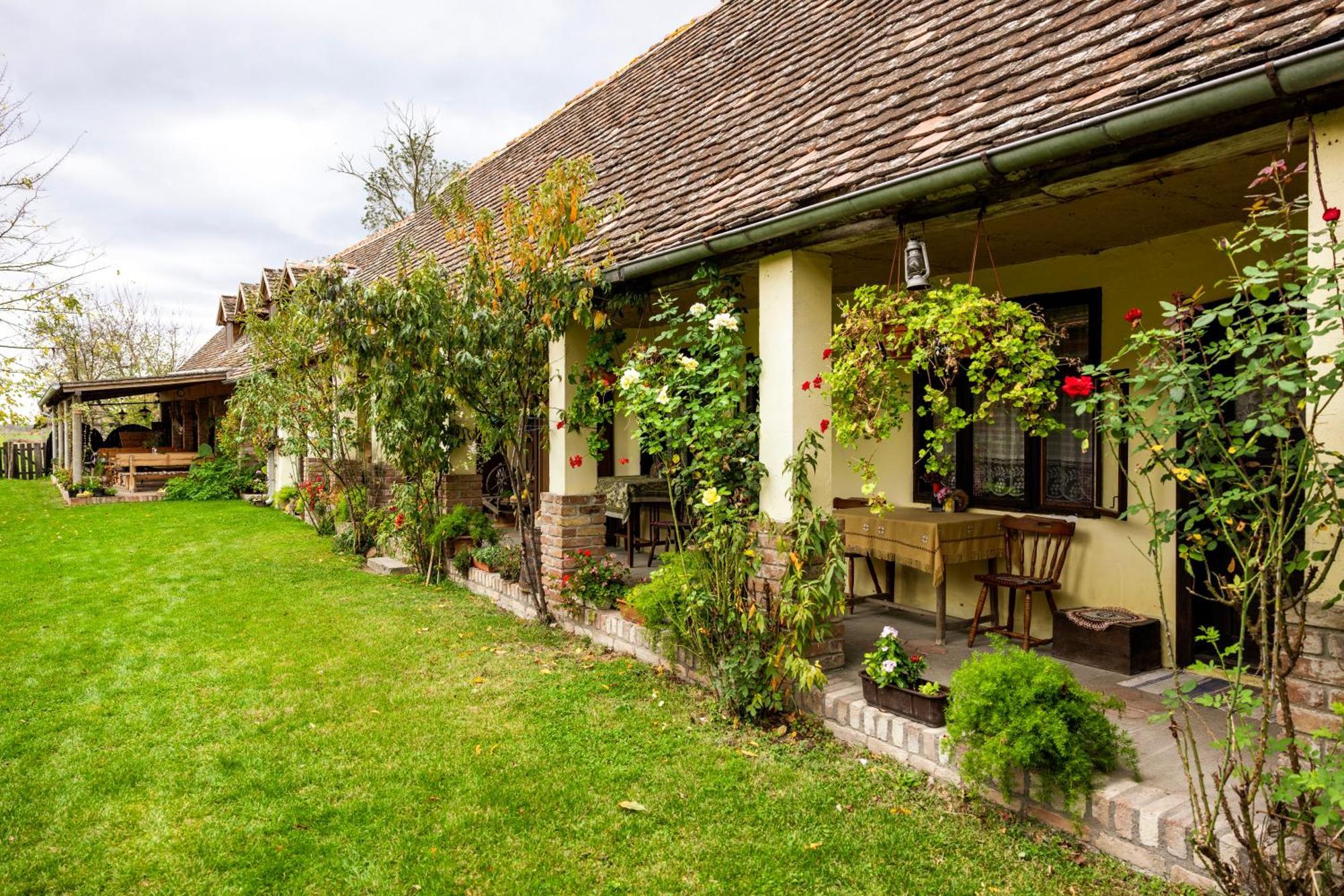 Snasini Kucari Bed & Breakfast Gradiste Екстериор снимка