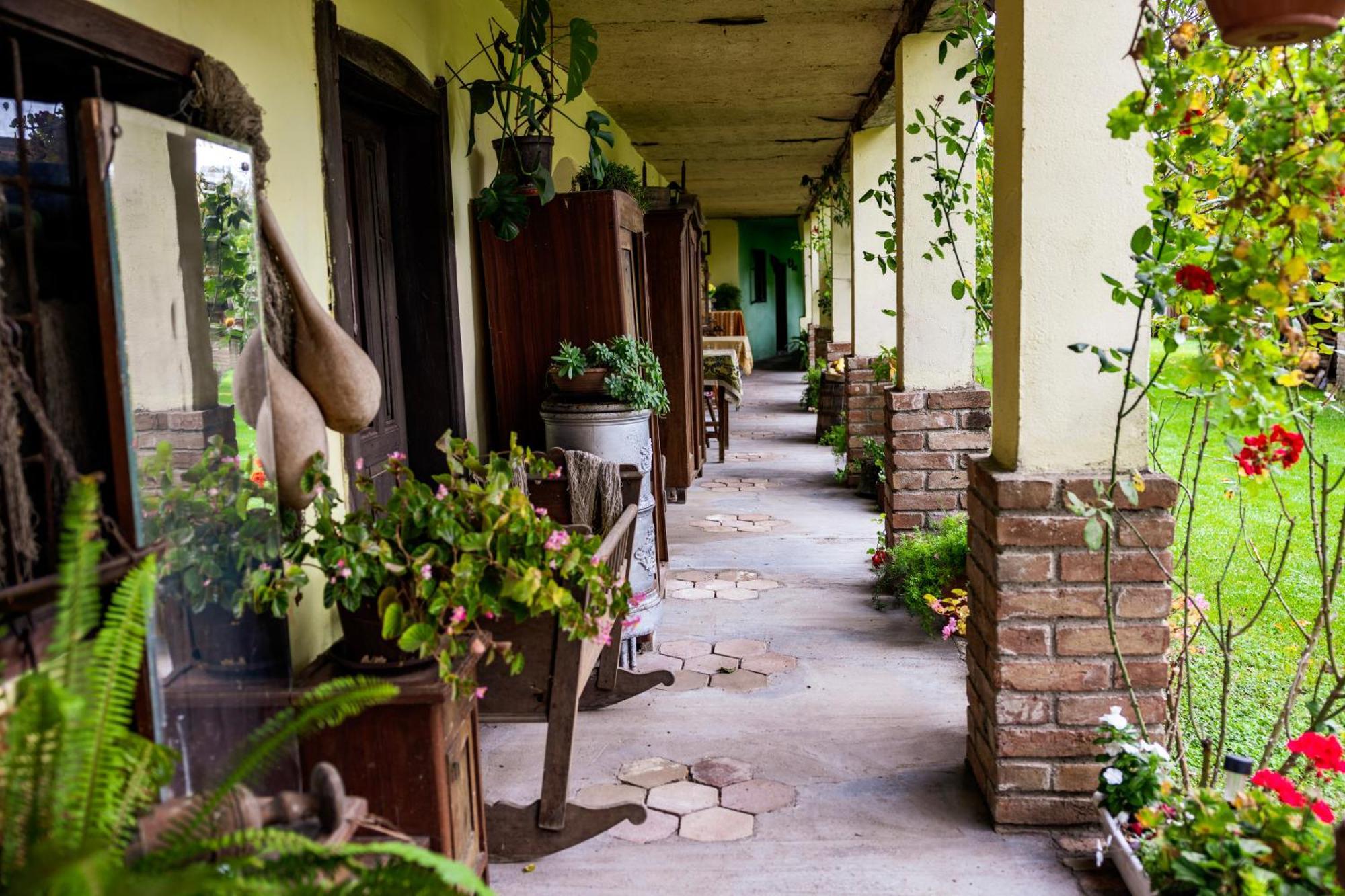 Snasini Kucari Bed & Breakfast Gradiste Екстериор снимка